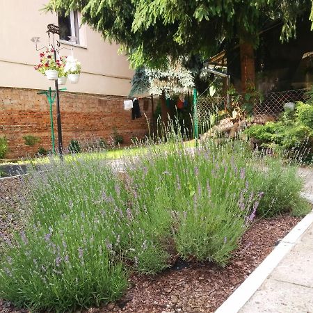 Apartment On Zaliznychna Lviv Bagian luar foto