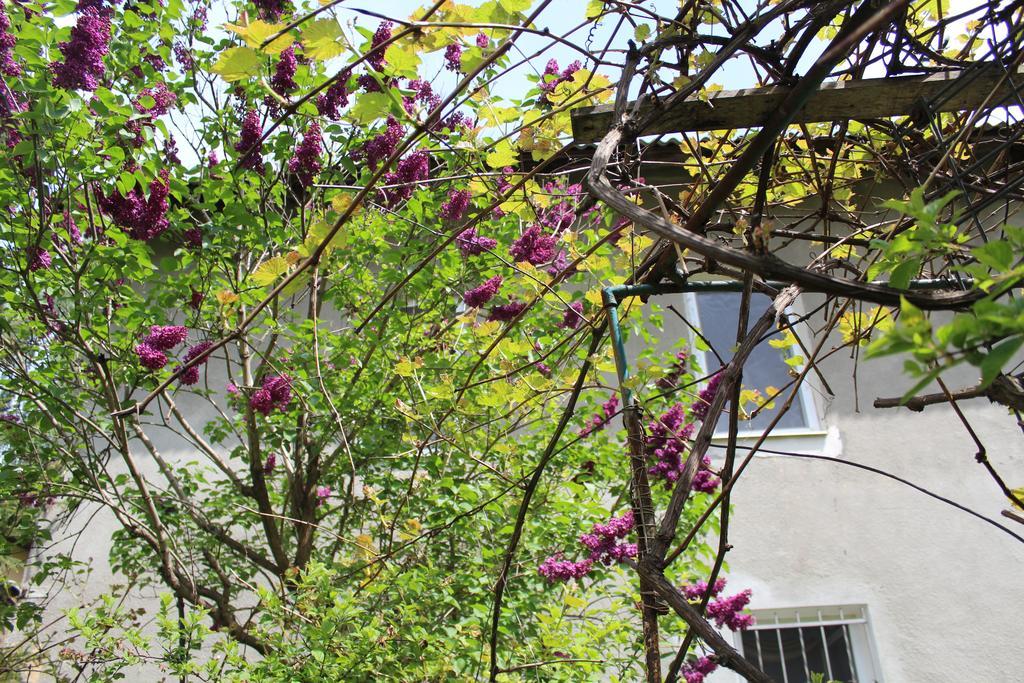 Apartment On Zaliznychna Lviv Bagian luar foto